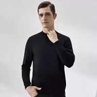 鄂尔多斯|JEANS[超轻羊毛]秋季圆领百搭休闲羊毛衫男