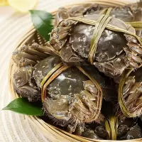4公4母清水螃蟹大闸蟹公母配礼盒