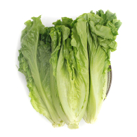 新鲜生菜400克/包