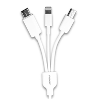 品胜(PISEN) 品胜 TYPE-C 苹果 安卓 三合一充电线 均通用型 单个价