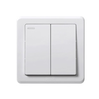 西蒙C20系列二位双控开关251022