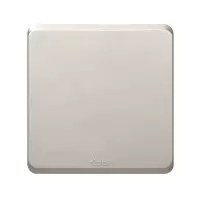 西蒙C20系列空白盖板(香槟)251000-44
