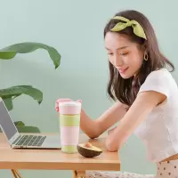 大宇 榨汁机 ZB2