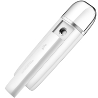 "德尔玛纳米补水仪BS01