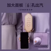 大宇 网红挂烫机 HI029