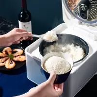大宇 电饭煲 FB01