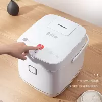 大宇 脱糖电饭锅 FB05