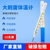 大刻度 水银温度计