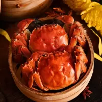 阳澄湖大闸蟹300型 公3.0两/只 母2.0两/只 4对8只礼盒装(s)