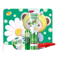 小甘菊X双立人呵护礼盒