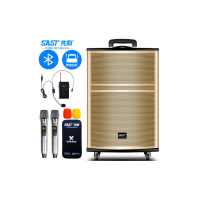 先科(SAST) WD-19 15英寸 移 动 拉 杆 音 响