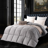 芳恩家纺 FN-B6020 杜邦Sorona植物羽绒被 冬被加厚保暖被子单双人秋冬被芯 灰色