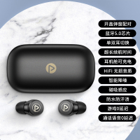 品胜(PISEN) x-pods2无线蓝牙耳机 5.0入耳式 魔幻黑