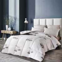 芳恩家纺 FN-B6022 七彩生态鹅丝绒被 冬被加厚保暖被子单双人秋冬被芯