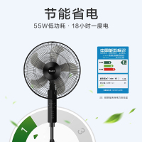 GL电风扇家用节能落地扇学生立式大风量客厅宿舍机械五叶扇FD-4012-WG 黑色