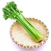 新鲜西芹(斤)