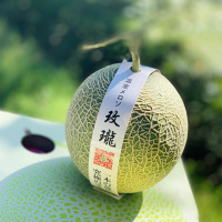 日本引种海南有机玫陇瓜(4只装)-来自海南热带的有机鲜果