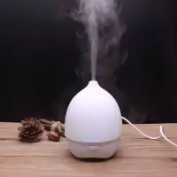 恩谷(ENGUE)超声波加湿器EG-010 单个装