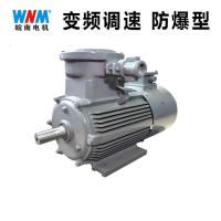 安徽皖南电机三相异步电动机YX3-132S2-2 7.5