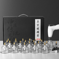 安稳佳 ZQ 拔罐仪器 19257