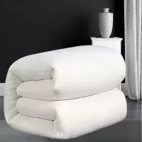 厚棉被 冬天透气保暖被子秋天棉被子长绒棉