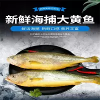 [江苏乡村振兴][财政集采][灌南]灌农 海洋大礼盒(至尊装)