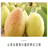 三真集 新疆库尔勒香梨 精品级(单果约100-120g)香梨精选脆甜 新鲜水果 偏远地区不发 单箱价