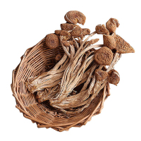 岭味(Lingwei) 东北元蘑 干蘑菇 山珍 菌菇 食用菌干货 东北特产 茶树菇 200g