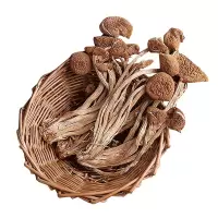 岭味(Lingwei) 东北元蘑 干蘑菇 山珍 菌菇 食用菌干货 东北特产 茶树菇 200g