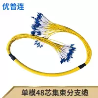 优普连 48芯单模集束分支缆 10米 SC-SC GD