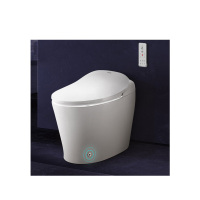 智能马桶一体家用电动坐便器 KF