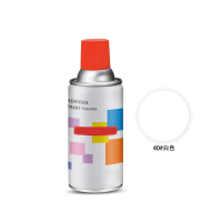 TRW 汽车自喷漆(白)