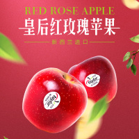 新西兰进口皇后红玫瑰苹果一级精选12粒