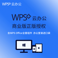 金山WPS Office2019专业增强版