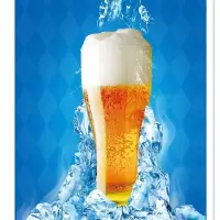 企采严选蓝带啤酒经典易拉罐 500ml*12听 整箱装
