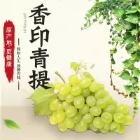 [江苏扶贫][财政集采][淮安]阳光玫瑰葡萄 6斤装*盒