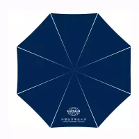 12骨雨伞
