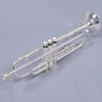 16孔C调闭孔长笛乐器