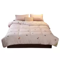 悦达家纺 YUEDA HOME TEXTILE 心羽暖绒被 200*230