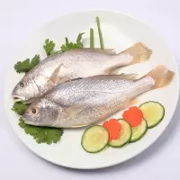 鲍鲜深 海鲜套餐 A (带鱼500g+马鲛鱼中段300g+白姑鱼300g+小鲳鱼200克)