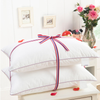 俏庭-48*74cm-简约清新枕