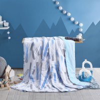 水星家纺磨毛印花奥韦拉夏被