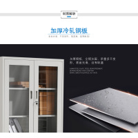 铁皮文件柜TP-009