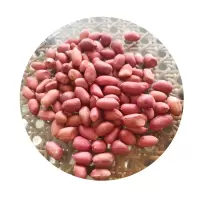 【江苏扶贫】条河小花生仁 1800g