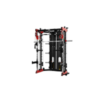 BODYLONGER宝迪朗格史密斯机 BK3058 家商用小飞鸟深蹲杠铃卧推举重龙门架（不含杠铃片）