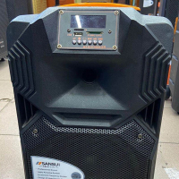 ZSTC山水高级户外演出音响 蓝牙无线连接 含带2支无线话筒 SS1-10豪华版 60W