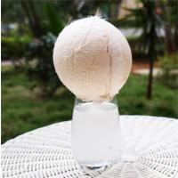 海南白椰 5斤装(2个)