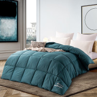 芳恩FN-B6020杜邦Sorona植物羽绒被(两个花型)