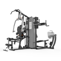 舒华(SHUA) 综合训练器四人站 SH-G5205