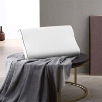 BOSS HUGO BOSS 尚记忆枕 HBZX-006